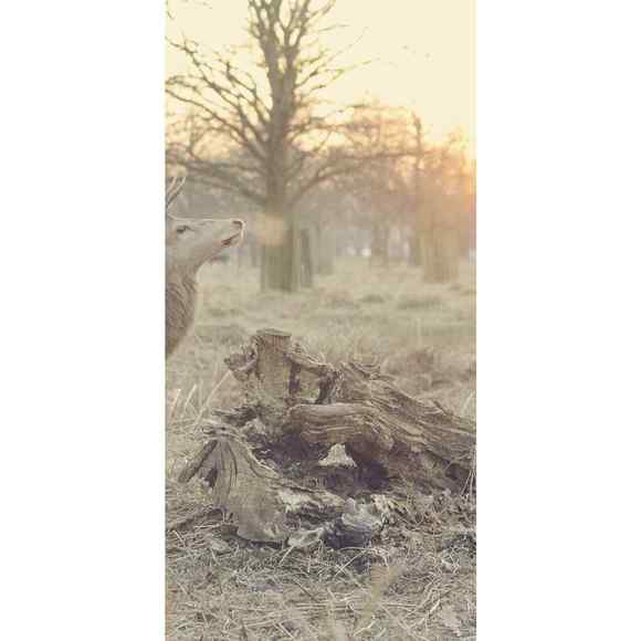 DO NOT BUY: Awesome Plastic Shoes - Picture 5 of 12